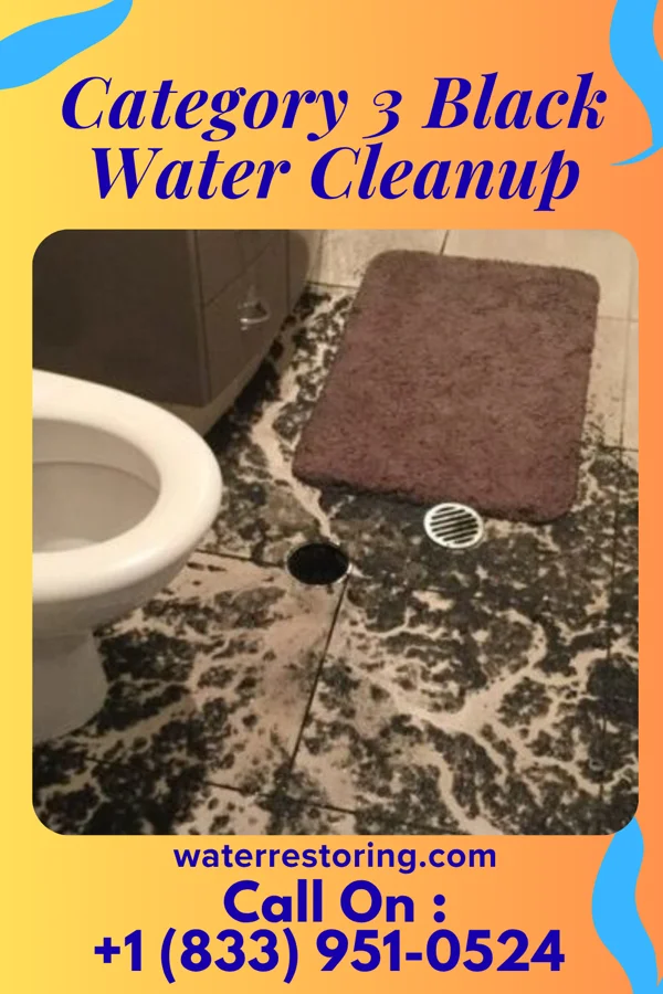 Category 3 Black Water Cleanup in Staples, CT
